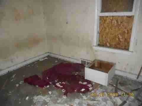 18700 Joann (19)_m.jpg